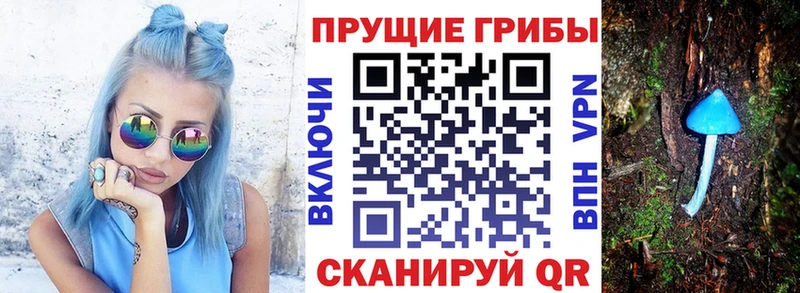 Псилоцибиновые грибы GOLDEN TEACHER  магазин продажи наркотиков  Талдом 